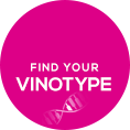 myVinotype